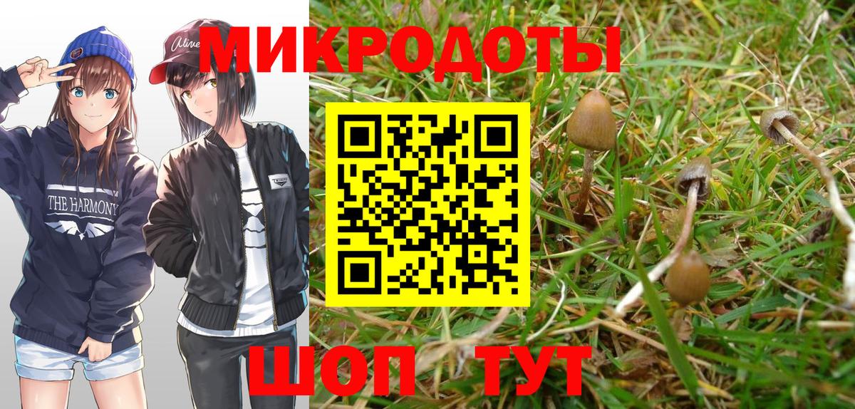 Псилоцибиновые грибы мицелий Вязники